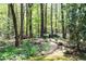 Landscaped backyard featuring a gravel path among mature trees and native plants, creating a private oasis at 386 Collegiate Dr, Powder Springs, GA 30127