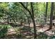Wooded backyard featuring a birdhouse hanging from a tree, surrounded by lush greenery, creating a natural haven at 386 Collegiate Dr, Powder Springs, GA 30127