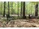Backyard retreat with a wood bench and stone-lined path leading to a campfire and secluded ambiance at 386 Collegiate Dr, Powder Springs, GA 30127