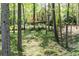 Stunning home nestled among trees, offering privacy and a serene setting at 386 Collegiate Dr, Powder Springs, GA 30127