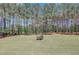 Vast backyard with a manicured lawn and mature trees creating a serene setting at 105 New Castle Ln, Tyrone, GA 30290