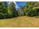 Spacious grassy backyard with a tree line and blue sky, perfect for entertaining or relaxation at 1215 Smoke Hill Ln, Hoschton, GA 30548