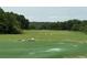 Expansive green golf course for leisure activities, with well-manicured lawns and surrounding nature at 2244 Deer Ridge Dr, Tucker, GA 30087