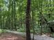 Scenic walking trail through a dense forest, perfect for nature walks at 2244 Deer Ridge Dr, Tucker, GA 30087