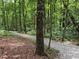 Lush forest walking trail with gravel path for a peaceful nature walk at 2244 Deer Ridge Dr, Tucker, GA 30087