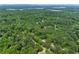 Expansive aerial view of lush, mature trees with Lake Hartwell in the distance at 466 Victoria Rd, Woodstock, GA 30189