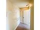 Walk-in closet with carpeted flooring and wire shelving at 2378 Misty Ivy Ct, Buford, GA 30519