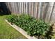 A charming raised garden bed is filled with leafy greens and set against a wooden fence and grassy lawn at 330 Bay Grove Rd, Loganville, GA 30052