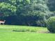 Lush green backyard with mature trees and wildlife, offering privacy and a nature-filled setting at 634 Friars Head Dr, Suwanee, GA 30024