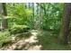 Lush, wooded backyard providing a private and serene outdoor space at 1760 Little Willeo Rd, Marietta, GA 30068