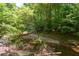 Picturesque creek surrounded by lush trees, offering a serene natural setting and a wooded property view at 3295 Waters Ml, Alpharetta, GA 30022