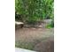 Spacious backyard showcasing the lush landscaping, offering a peaceful and private outdoor area at 9165 Nesbit Ferry Rd # 9, Alpharetta, GA 30022