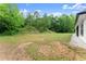 Expansive backyard with lush greenery and ample space for outdoor activities and landscaping possibilities at 110 Beaver Pointe, Villa Rica, GA 30180
