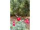 Picturesque backyard oasis with a hammock and vibrant flowers, perfect for relaxation and enjoying nature at 3521 Eaglerock Dr, Atlanta, GA 30340