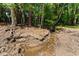 Landscaped backyard with a small stream, offering a peaceful and natural setting at 3805 Carder Ln, Cumming, GA 30028