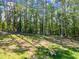 Spacious backyard offering plenty of room for outdoor activities and relaxation at 3805 Carder Ln, Cumming, GA 30028