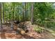 Picturesque backyard featuring mature trees, lush ground cover, and a tranquil stream at 3805 Carder Ln, Cumming, GA 30028
