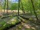 Scenic view of a backyard stream winding through lush greenery and tall trees at 3805 Carder Ln, Cumming, GA 30028