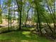 Lush backyard featuring a creek and tall trees, with a home visible in the distance at 3805 Carder Ln, Cumming, GA 30028
