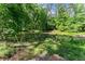 Scenic view of a serene pond surrounded by lush green trees and foliage at 3805 Carder Ln, Cumming, GA 30028