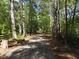 Long driveway surrounded by mature trees leading to the property at 5618 Highway 212, Covington, GA 30016