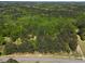 Aerial view of a sprawling, heavily wooded lot at 5618 Highway 212, Covington, GA 30016