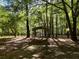 Lush yard with a metal shelter amidst a serene woodland setting at 5618 Highway 212, Covington, GA 30016