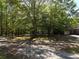 Expansive yard surrounded by mature trees, showcasing a large open space at 5618 Highway 212, Covington, GA 30016