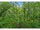 Lush backyard featuring an abundance of mature trees and beautiful natural greenery at 2986 Edenberry Nw Ln, Kennesaw, GA 30152