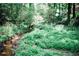 Tranquil backyard with natural creek and an abundance of lush green foliage at 2986 Edenberry Nw Ln, Kennesaw, GA 30152