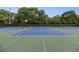 Well-maintained tennis courts with nets and blue playing surface, suitable for recreational and competitive tennis matches at 387 Skylar Se Way, Atlanta, GA 30315