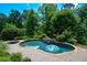 Beautiful backyard pool with clear blue water, lounge floats, and landscaped brick patio in a wooded setting at 3740 Duckcove Way, Cumming, GA 30041