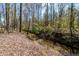 Secluded backyard features a tranquil stream bordered by lush trees and native vegetation at 492 Thorn Creek Way, Dallas, GA 30157