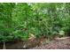 A small creek winds through a lush, wooded area, enhancing the privacy and beauty of the property at 492 Thorn Creek Way, Dallas, GA 30157