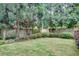 Lush backyard showcasing a well-maintained lawn, mature trees, and privacy landscaping at 3007 Frazier Ct, Decatur, GA 30033