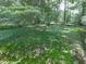 Lush backyard featuring mature trees, green lawn, and natural landscape at 3163 Old 41 Nw Hwy, Kennesaw, GA 30144