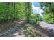 Gravel driveway, mature trees, and access to the road showcase the property's entrance and surroundings at 191 White Oak Church Rd, Dallas, GA 30157