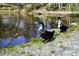 A beautiful pond with ducks on the shore, surrounded by lush greenery at 382 Lofton Nw Rd, Atlanta, GA 30309
