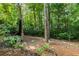 Wooded backyard featuring mature trees, landscaping, and a small deck area at 277 Alberta Ne Dr, Atlanta, GA 30305
