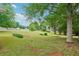 Expansive front yard with established lawn and mature shade trees providing privacy at 10 Hollow Ct, Covington, GA 30016