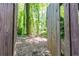 Private backyard with a wooden gate and lush greenery at 6109 Park Ave, Atlanta, GA 30342
