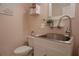 Powder room features a pink accent wall, white vanity, and stylish decor at 109 Auburn Crossing Dr, Auburn, GA 30011
