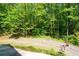 Partially cleared backyard area with a wooded backdrop at 465 Willowbrook Se Dr, Smyrna, GA 30082