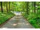 Driveway view surrounded by lush trees at 465 Willowbrook Se Dr, Smyrna, GA 30082