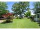 Expansive backyard with a large tree, well-maintained lawn, and a view of the surrounding landscape at 503 Bonnie Dr, Woodstock, GA 30188