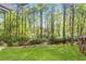 Lush backyard with green lawn and creek surrounded by mature trees, offering privacy at 4027 Mount Vernon Dr, Woodstock, GA 30189