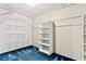 Walk-in closet with carpet, wire racks and storage shelves for optimal organization at 124 Crown Walk, Mcdonough, GA 30253