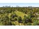 Beautiful aerial view of a lush green neighborhood park and the city skyline at 1095 Saint Charles Ne Pl, Atlanta, GA 30306