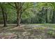 Picturesque backyard featuring mature trees and a tire swing at 2003 Greeson Rd, Dacula, GA 30019