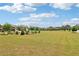 A wide green lawn in the neighborhood provides space for recreation and leisure, surrounded by well-maintained landscaping at 66 Cottontail Ln, Loganville, GA 30052